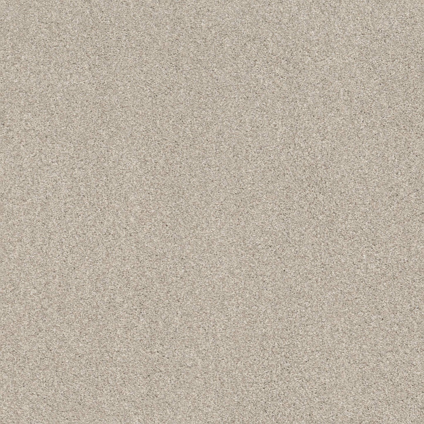 TEXTURE BCF