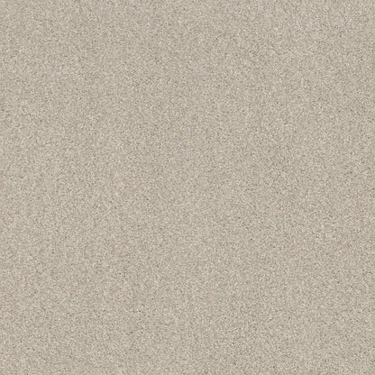 TEXTURE BCF
