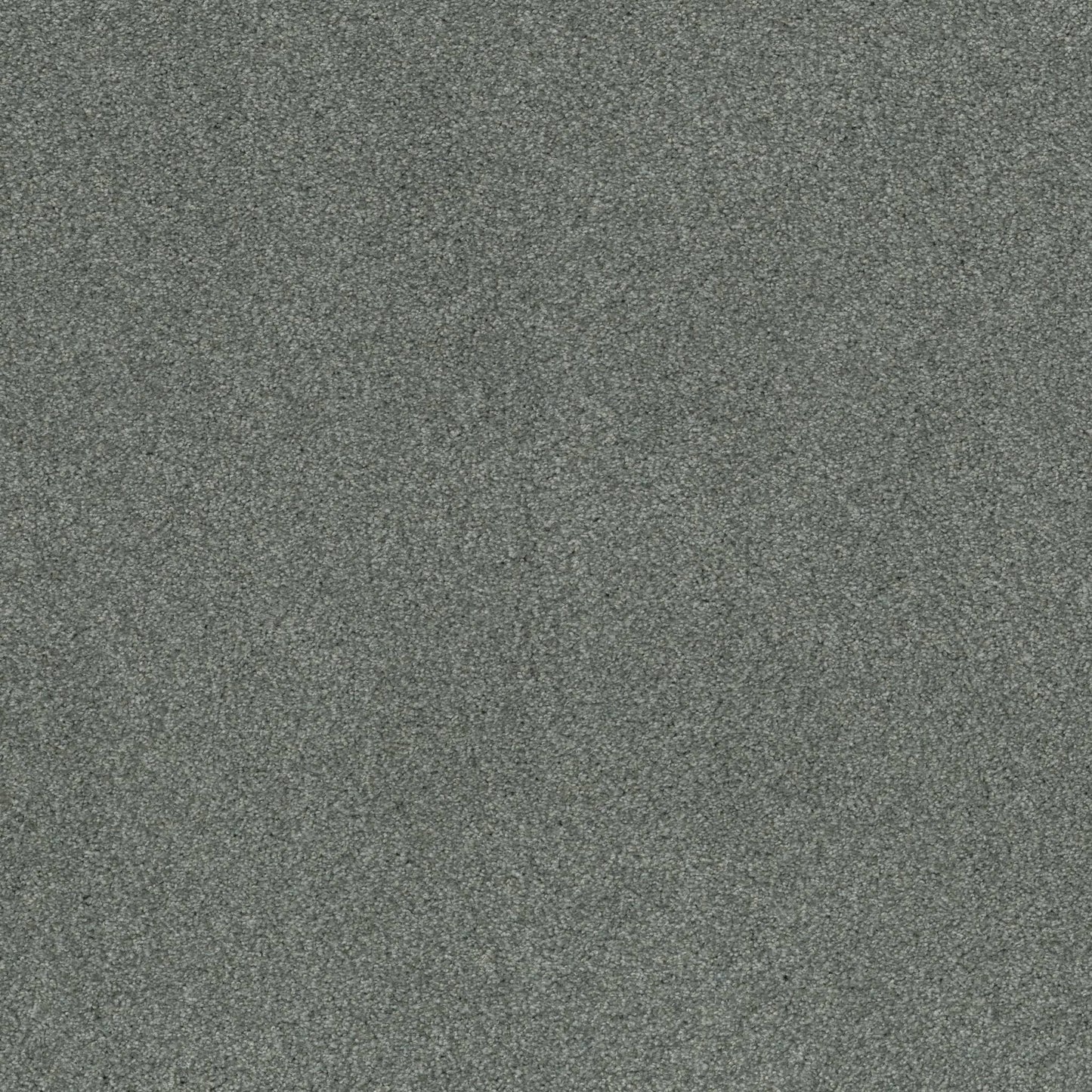 TEXTURE BCF
