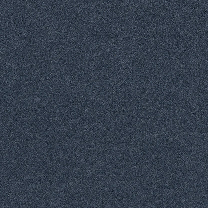 TEXTURE BCF