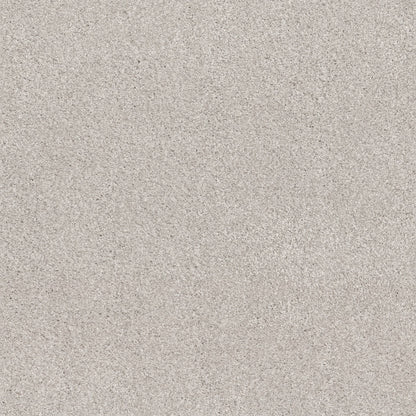 TEXTURE BCF