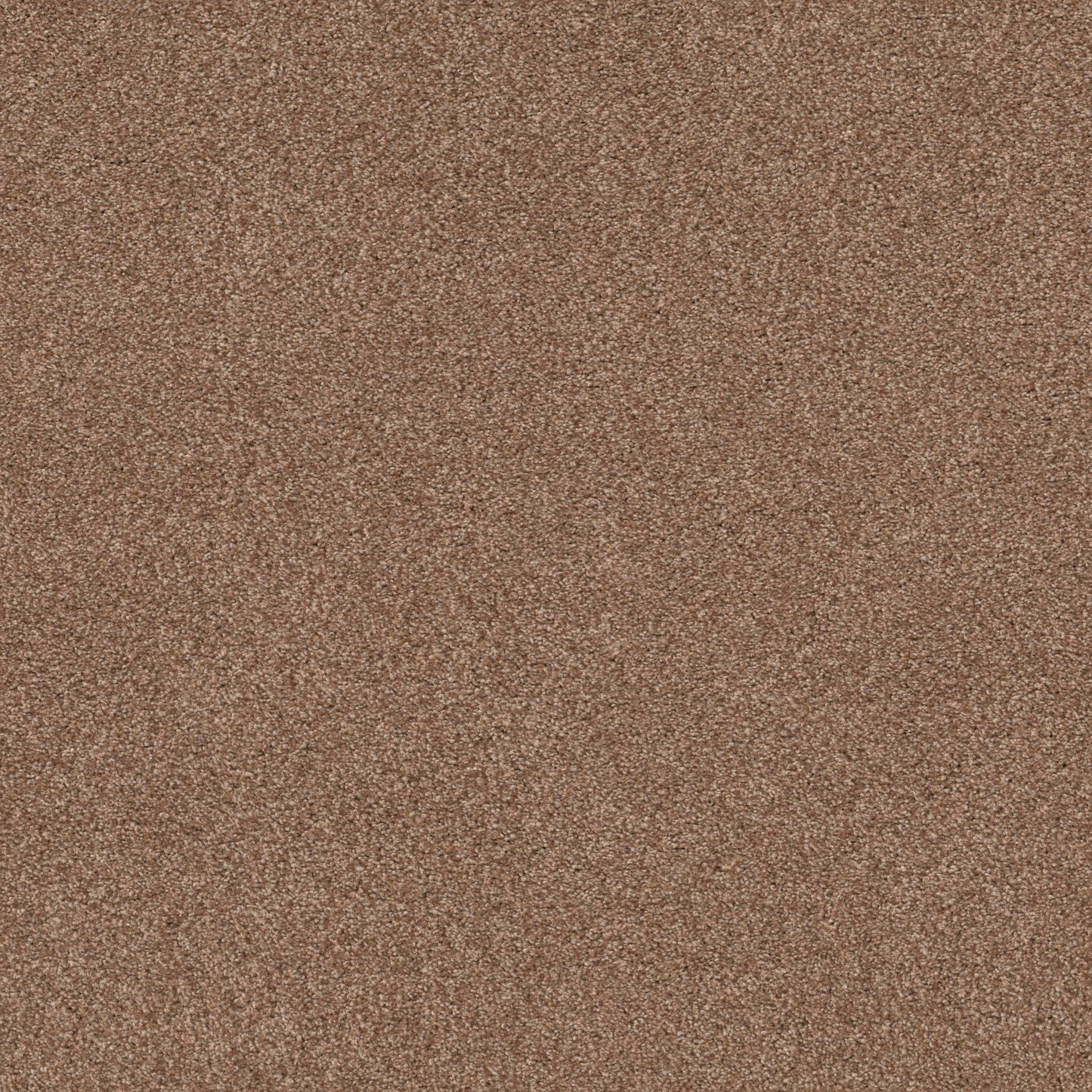 TEXTURE BCF