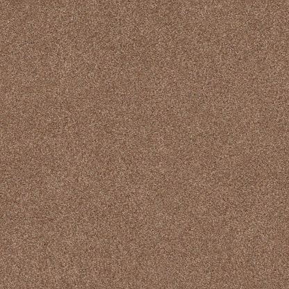 TEXTURE BCF