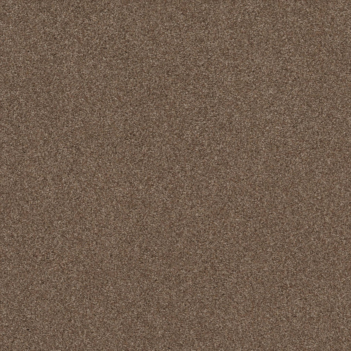 TEXTURE BCF