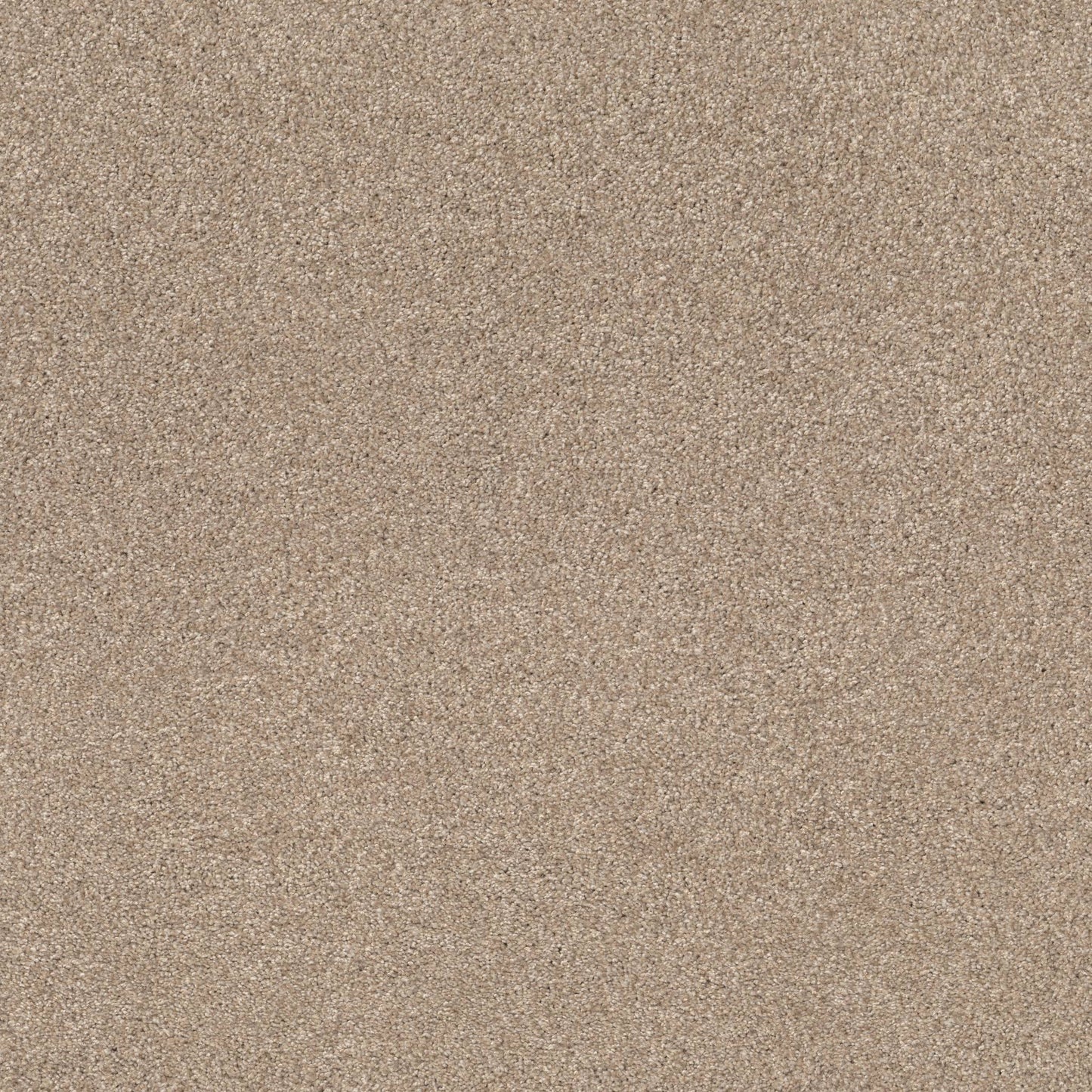 TEXTURE BCF