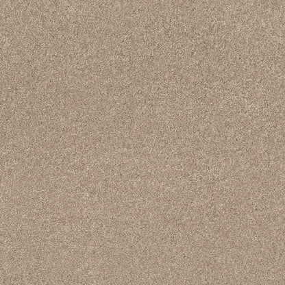 TEXTURE BCF