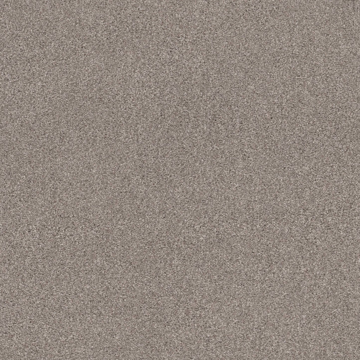 TEXTURE BCF