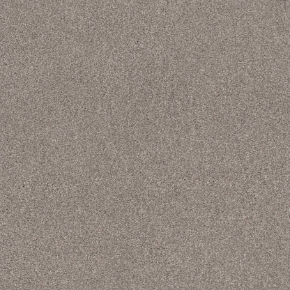 TEXTURE BCF