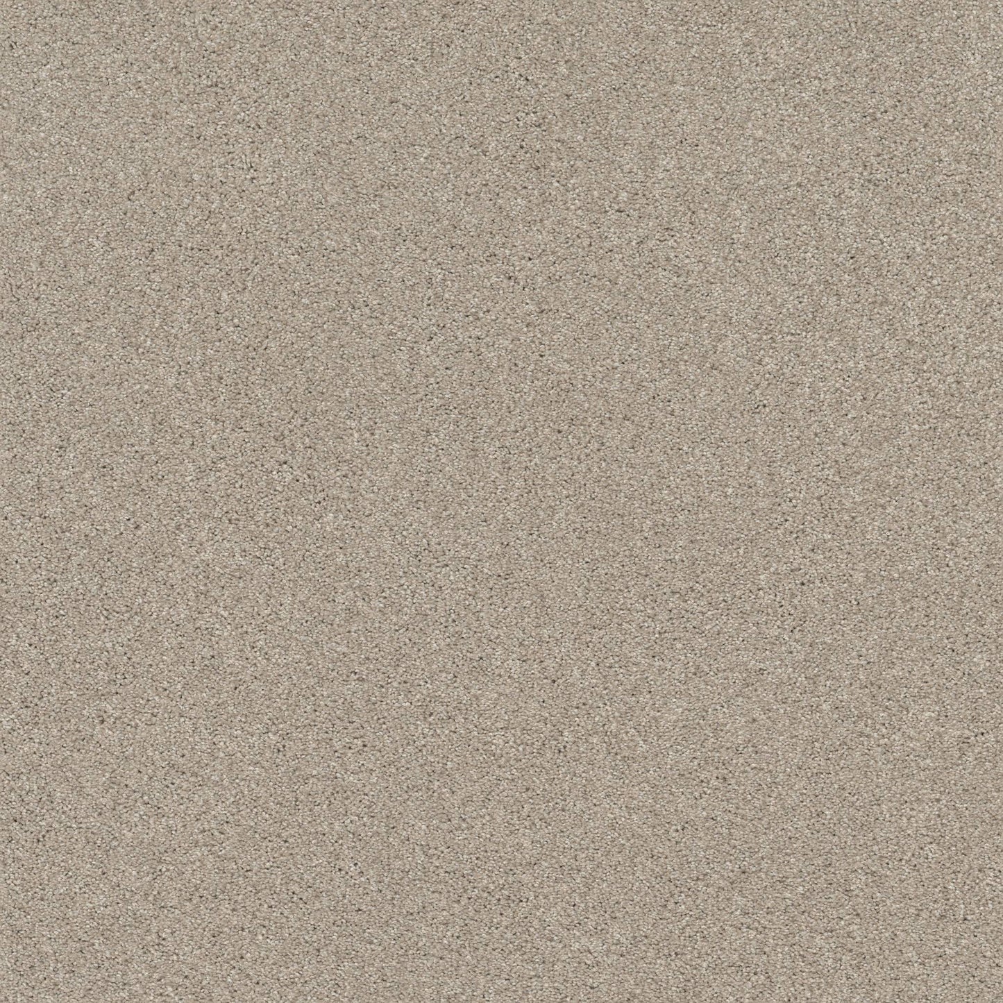 TEXTURE BCF