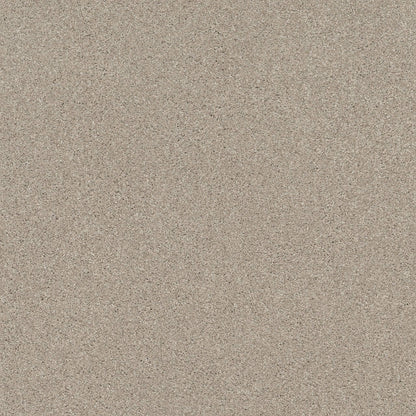 TEXTURE BCF