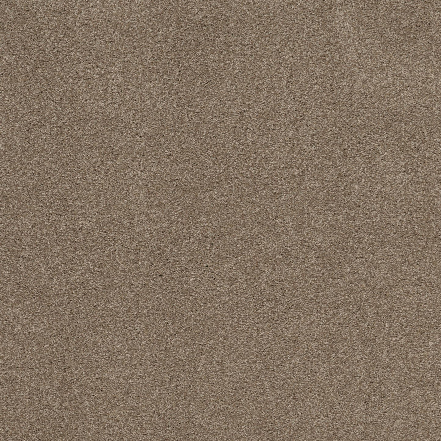 TEXTURE BCF