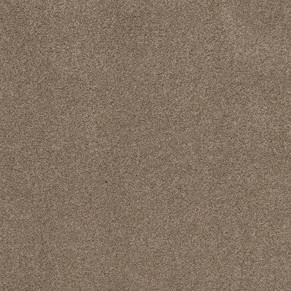 TEXTURE BCF