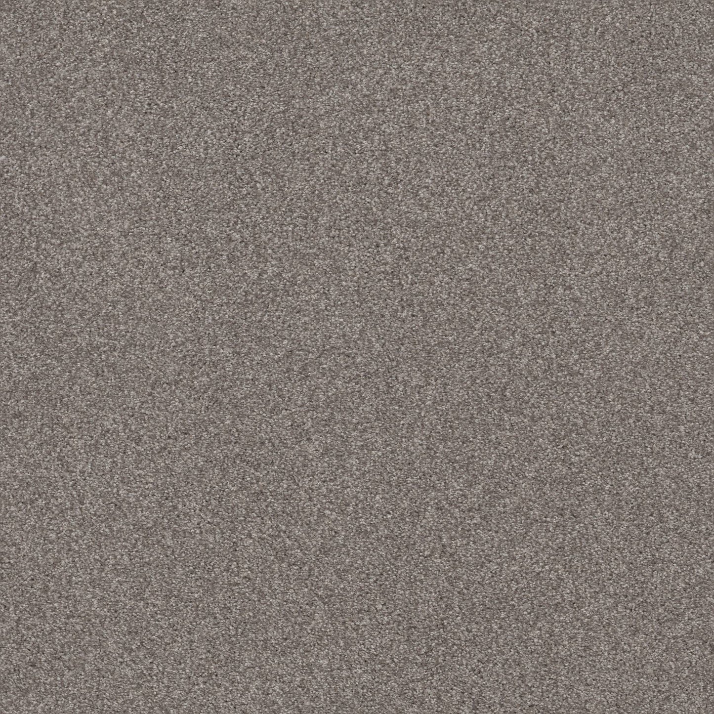 TEXTURE BCF