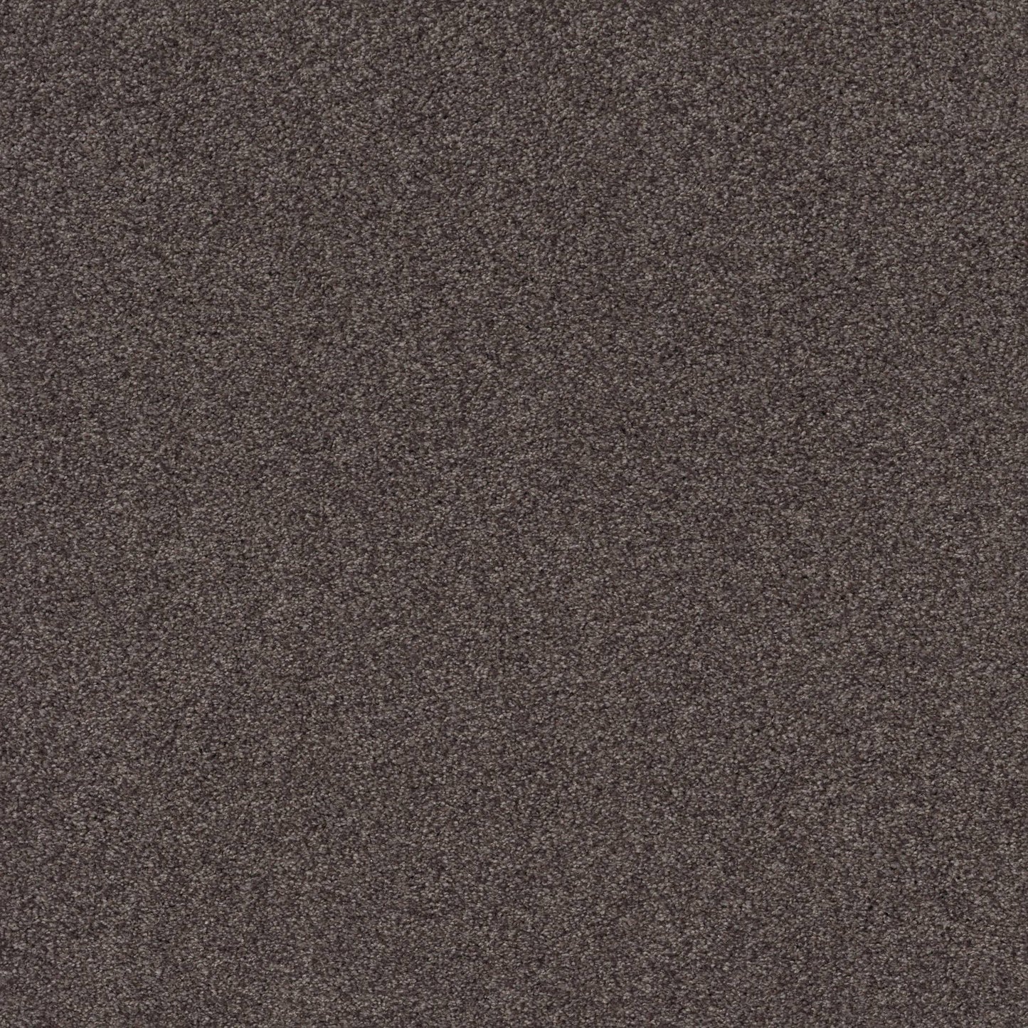 TEXTURE BCF