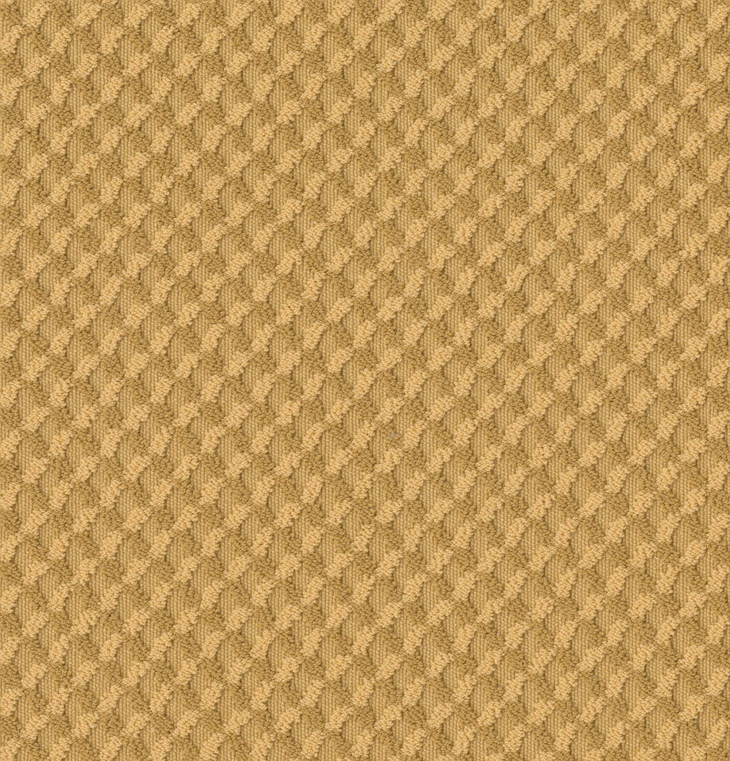BERBER CUT PILE