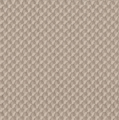 BERBER CUT PILE