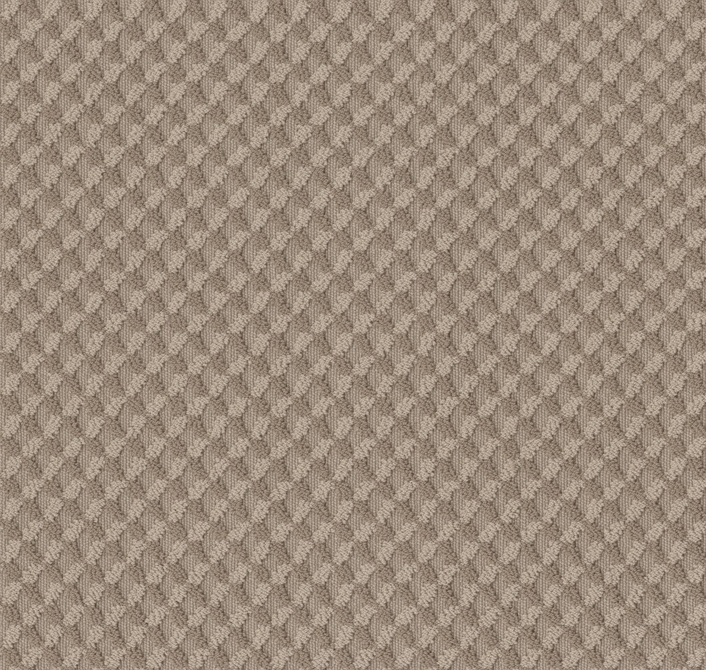 BERBER CUT PILE