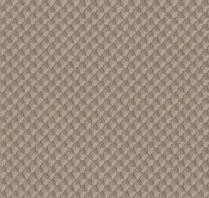 BERBER CUT PILE