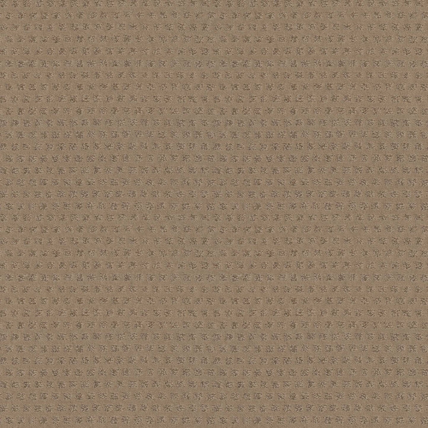 CUT UNCUT  R