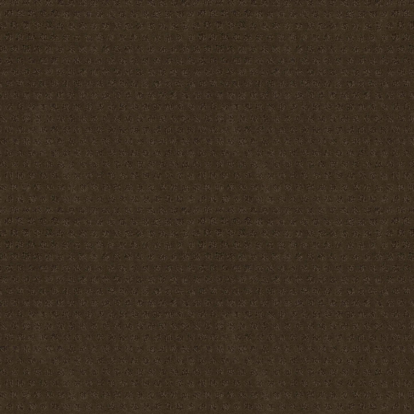 CUT UNCUT  R