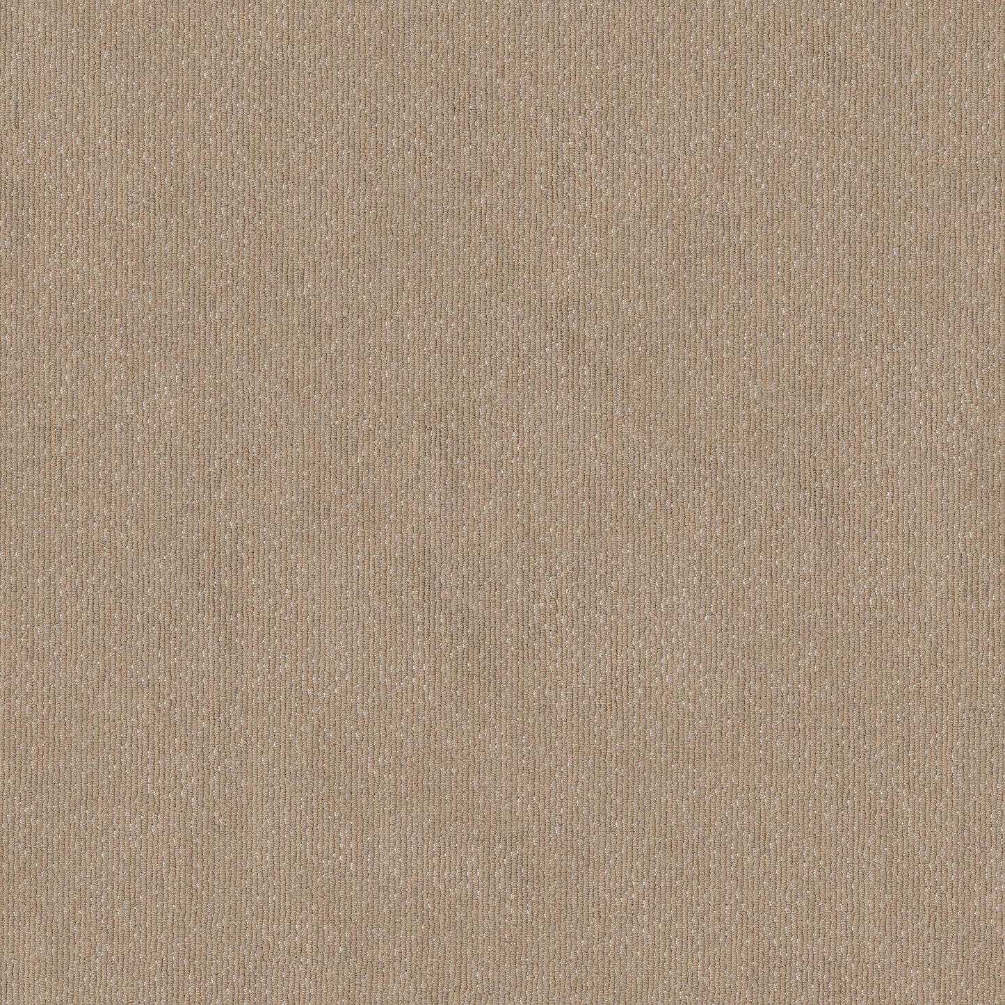 BERBER NYLON LOOP