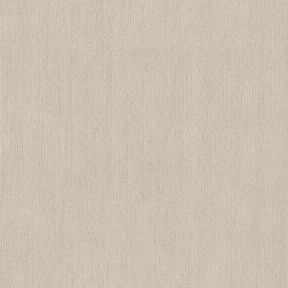 BERBER NYLON LOOP