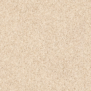 TEXTURE BCF