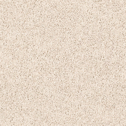 TEXTURE BCF
