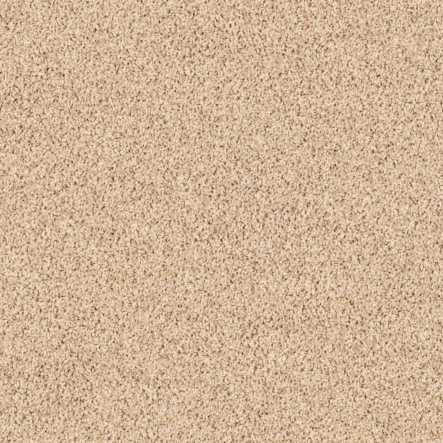 TEXTURE BCF