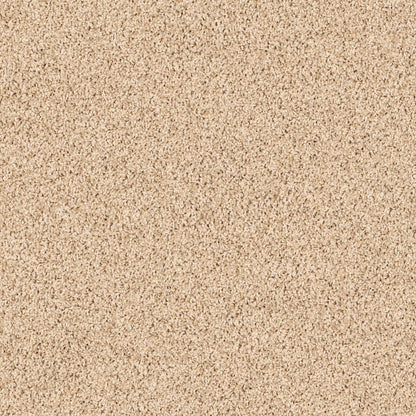 TEXTURE BCF