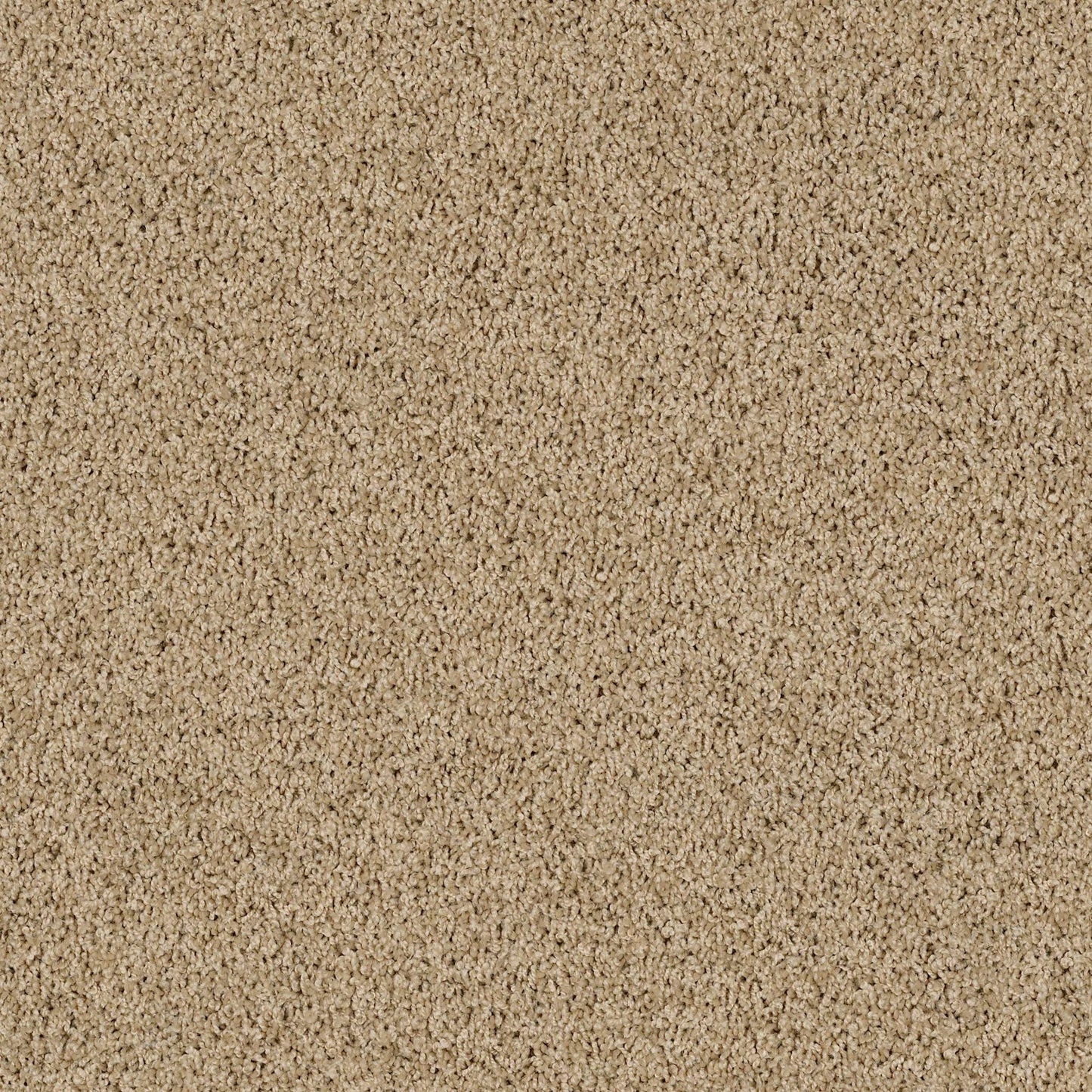 TEXTURE BCF