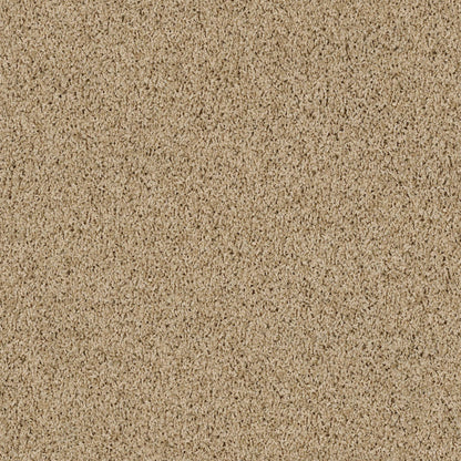 TEXTURE BCF