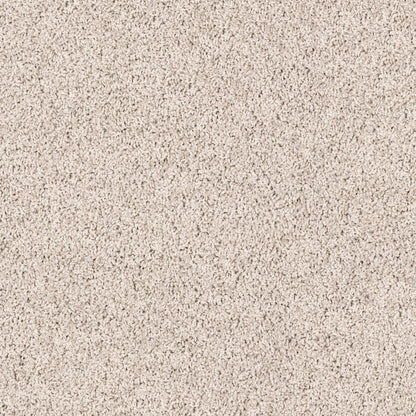TEXTURE BCF