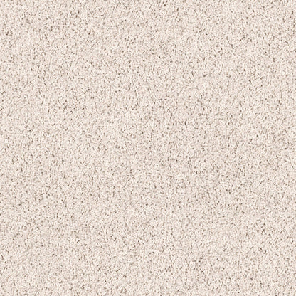 TEXTURE BCF