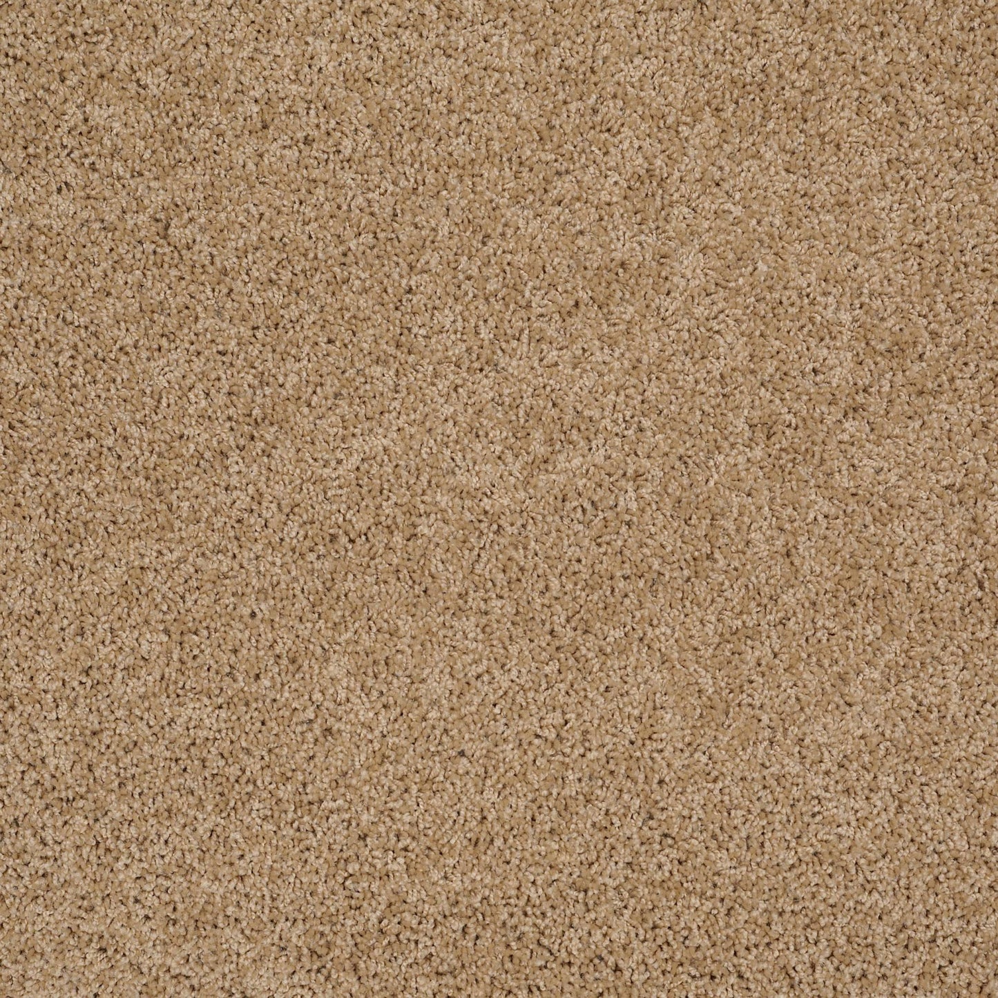 TEXTURE BCF
