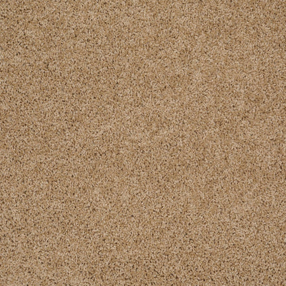TEXTURE BCF