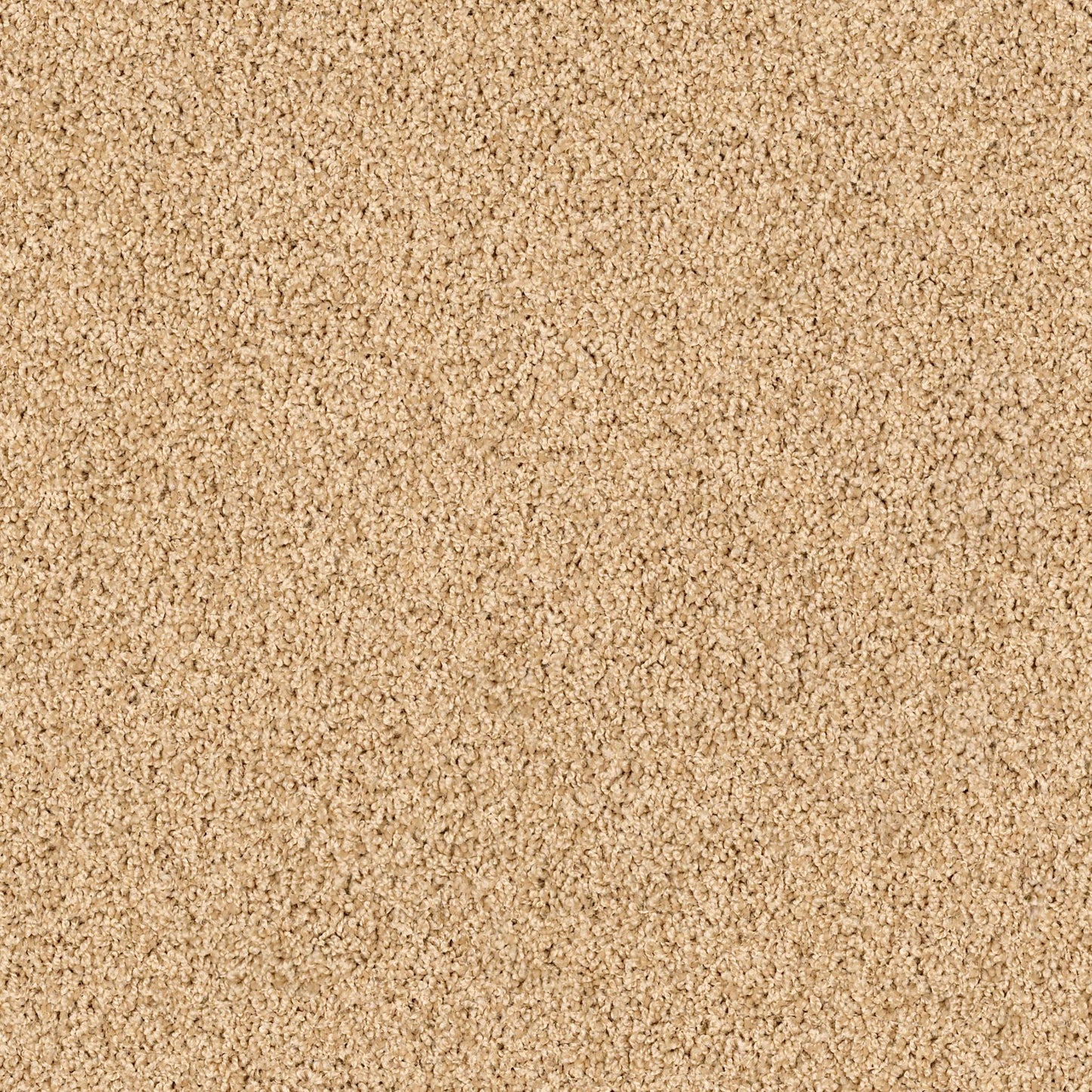 TEXTURE BCF