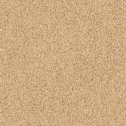 TEXTURE BCF
