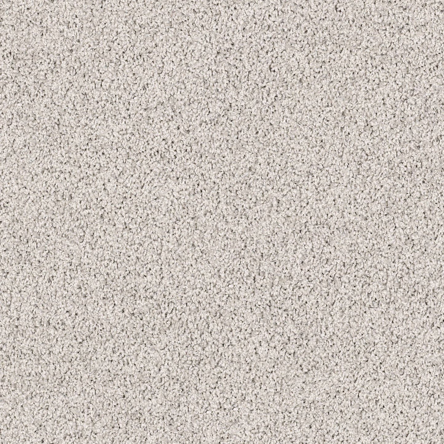 TEXTURE BCF