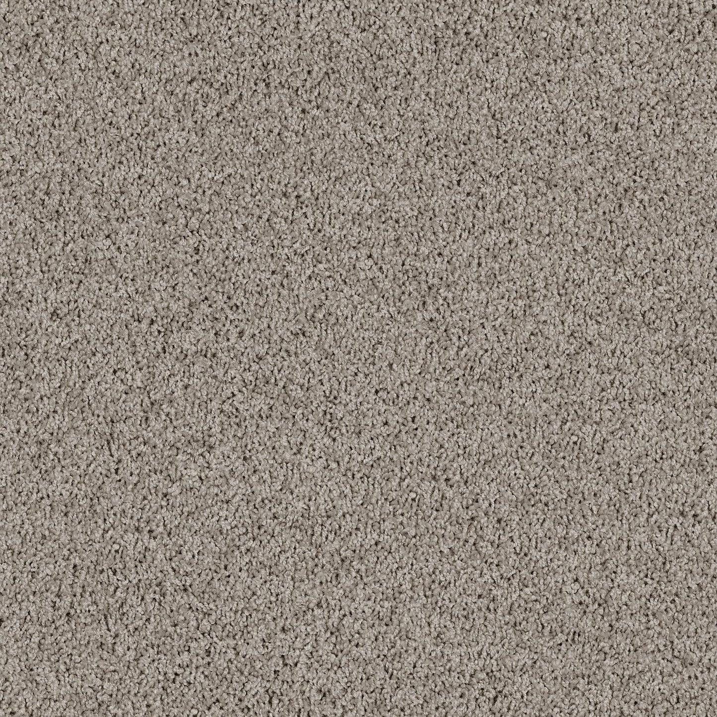 TEXTURE BCF