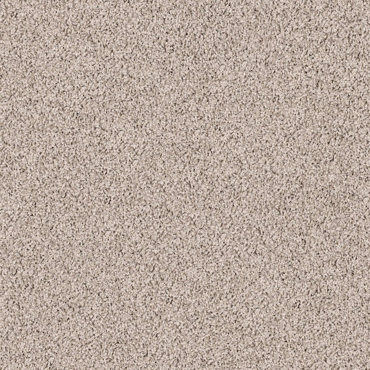 TEXTURE BCF