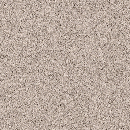 TEXTURE BCF