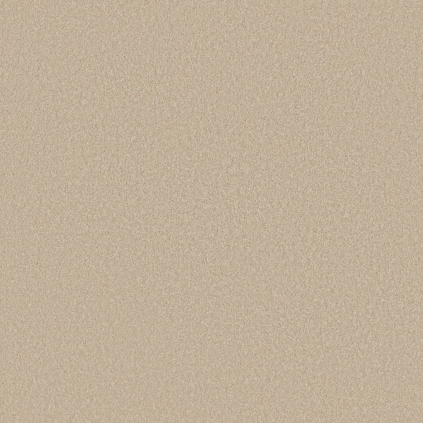 TEXTURE BCF