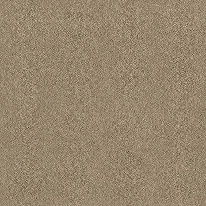 TEXTURE BCF