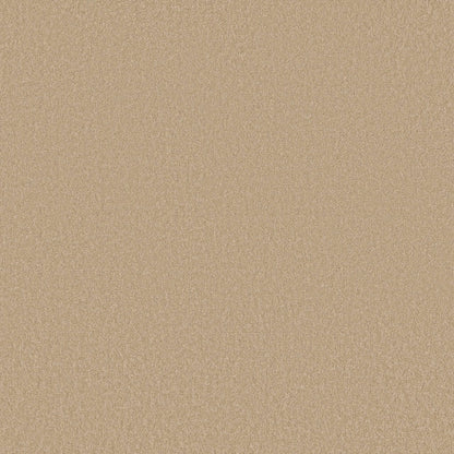 TEXTURE BCF