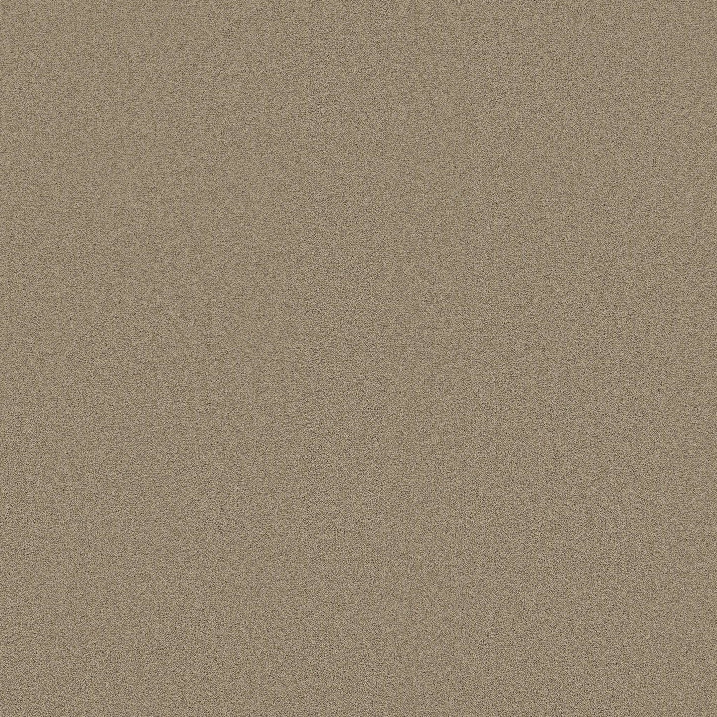 TEXTURE BCF