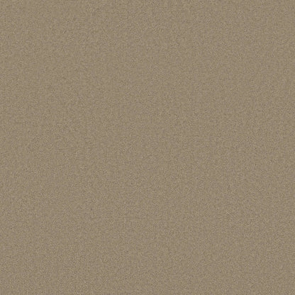 TEXTURE BCF