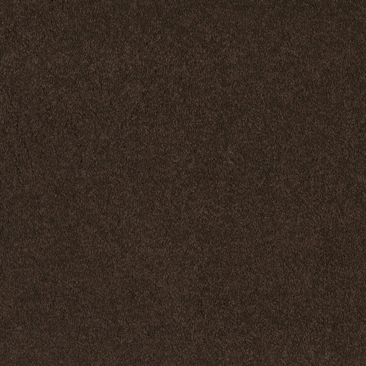 TEXTURE BCF