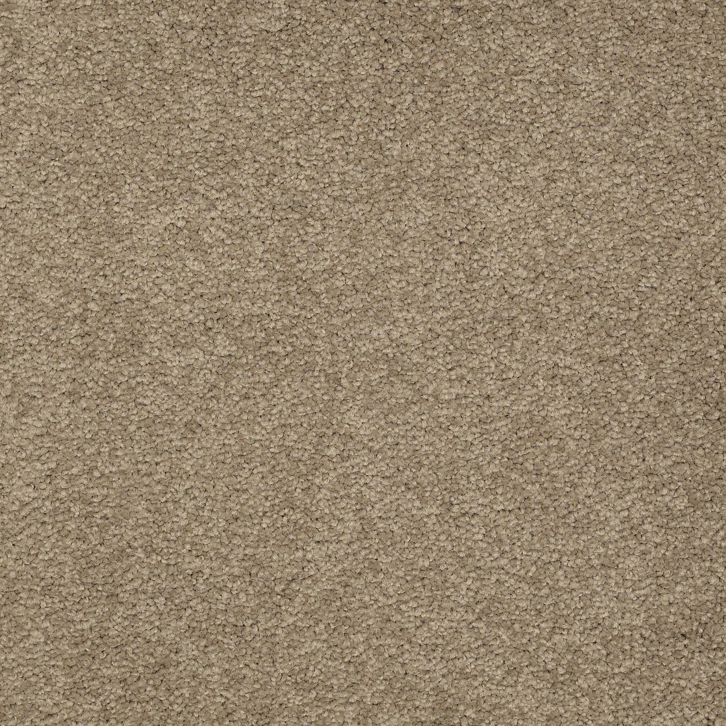 TEXTURE BCF