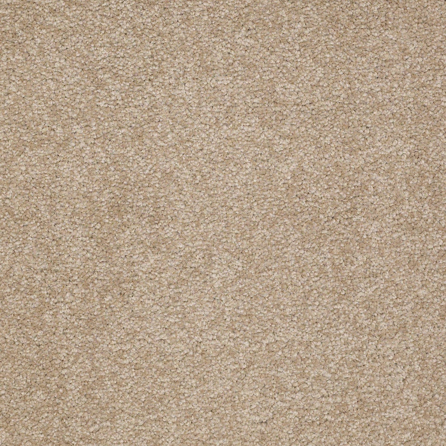 TEXTURE BCF